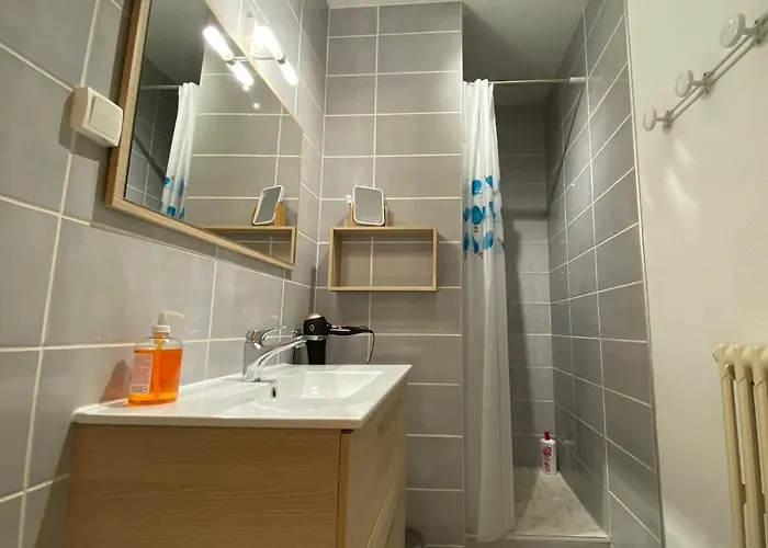 T3 Spacieux Et Calme Apartament Vichy